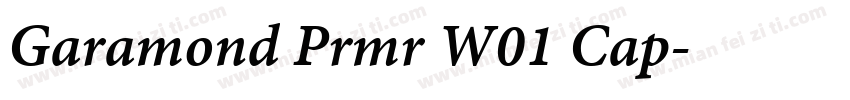 Garamond Prmr W01 Cap字体转换
